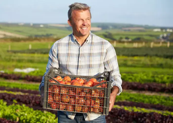 Producteurs locaux · Saison · Qualité